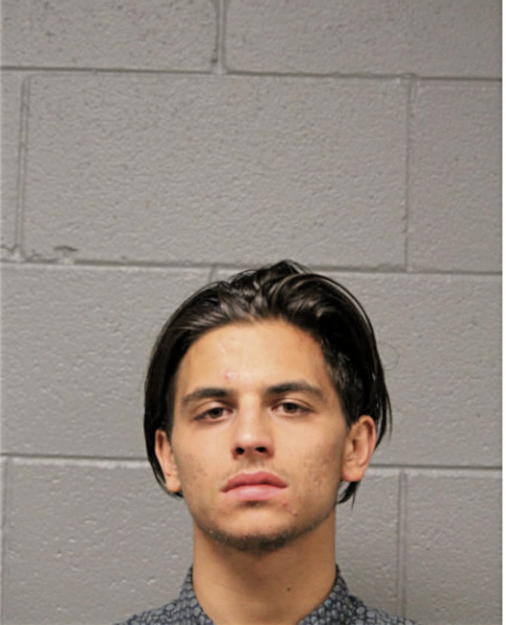 ADRIEN P NEEMA, Cook County, Illinois
