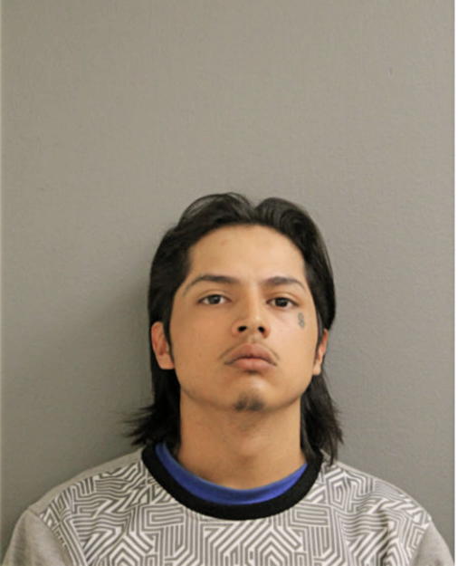 ADAN NUNEZ, Cook County, Illinois