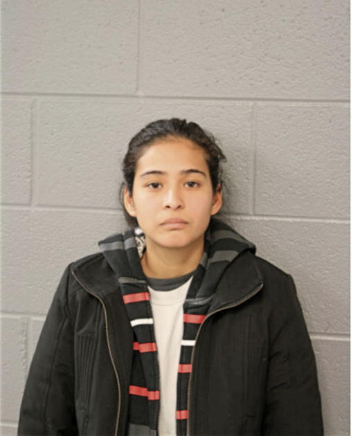 TERESA NATALIA POZOS, Cook County, Illinois