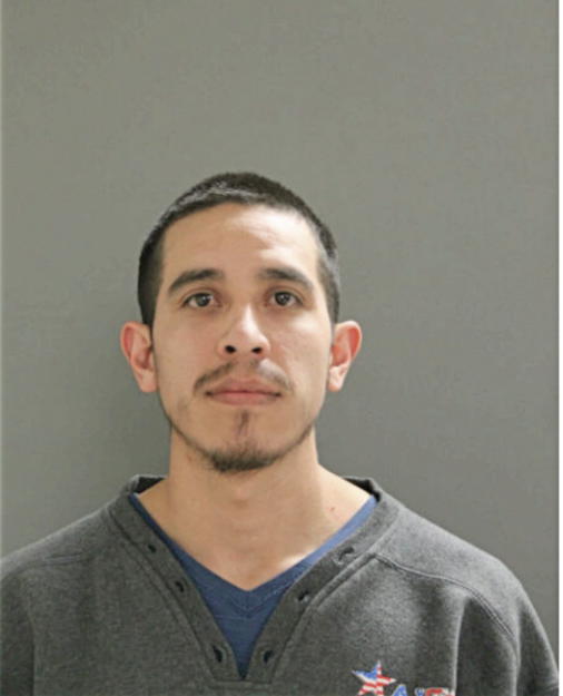 SAMUEL T RAMIREZ, Cook County, Illinois
