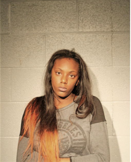 MICHELLE T RIVERS, Cook County, Illinois