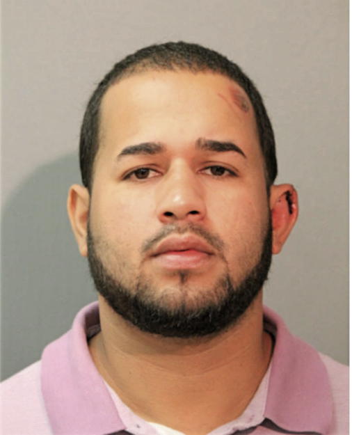 MICHAEL PENA RODRIGUEZ, Cook County, Illinois
