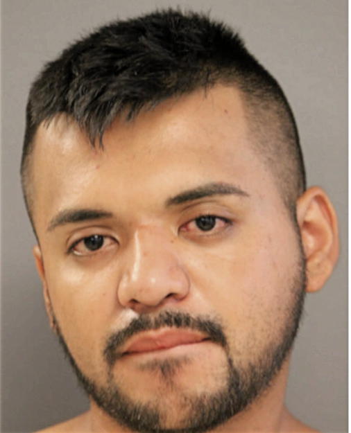 CARLOS J ROSAS, Cook County, Illinois