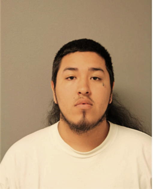 ALGER SANCHEZ, Cook County, Illinois