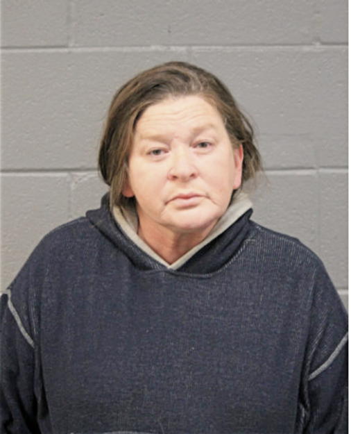 TERESA L SCHLOMER, Cook County, Illinois
