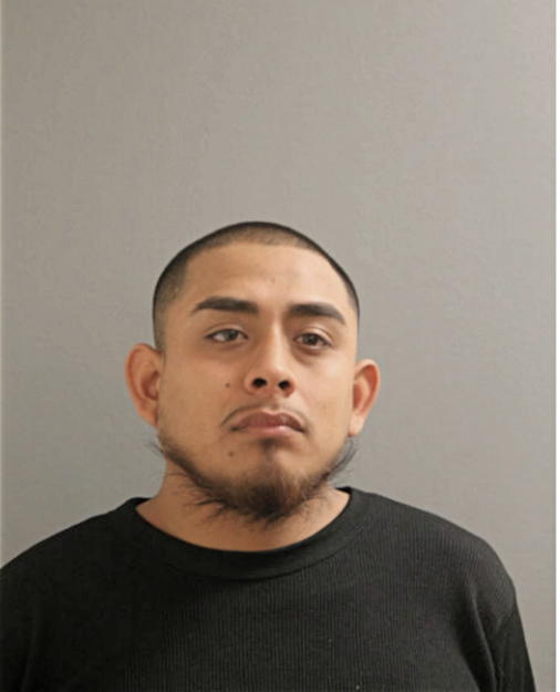 MARCOS VARGAS, Cook County, Illinois