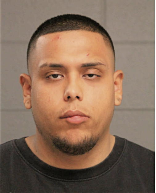 DAVID J VILLALOBOS, Cook County, Illinois