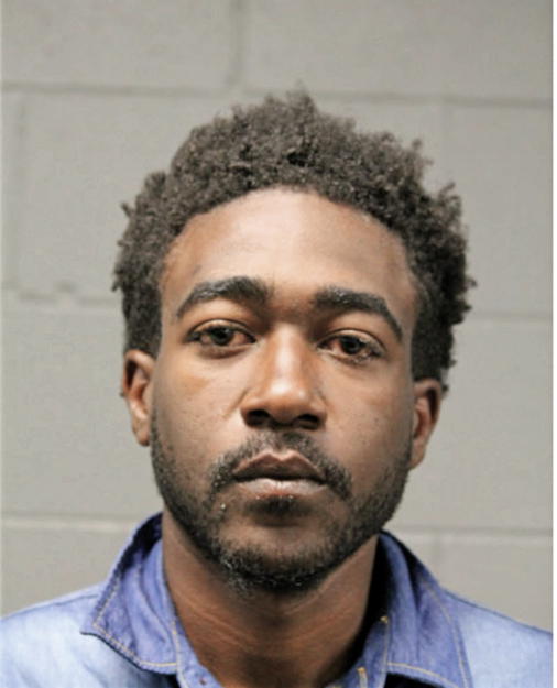 WALTER H WOODS, Cook County, Illinois