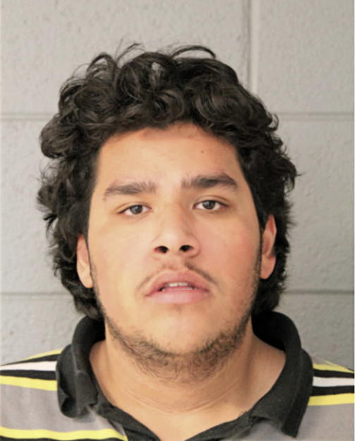 ERIC ALCANTAR, Cook County, Illinois