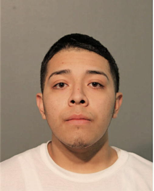 KEVIN AMILPA, Cook County, Illinois