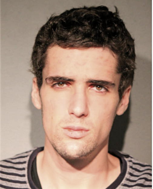 ALEX WELLS ANDERSON, Cook County, Illinois