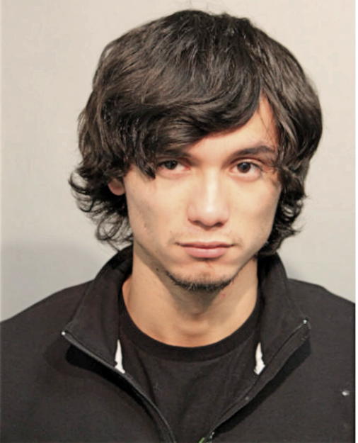 ISRAEL ARAUJO, Cook County, Illinois