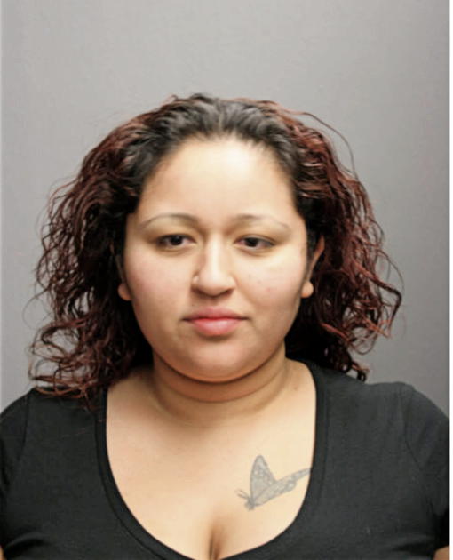 CRYSTAL J ARZUAGA, Cook County, Illinois