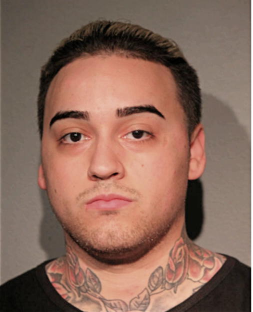 GABRIEL R BARRERA, Cook County, Illinois