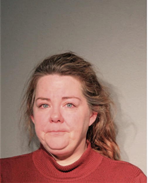 AMANDA K BEECH, Cook County, Illinois