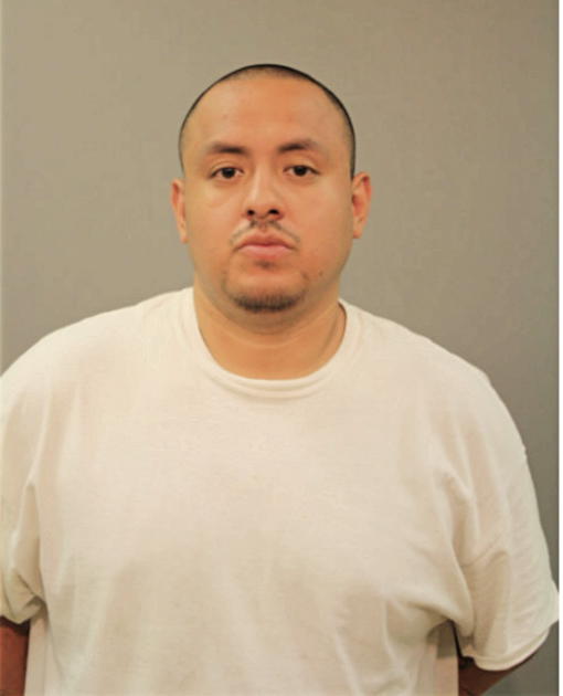 FRANCISCO BOYAS, Cook County, Illinois