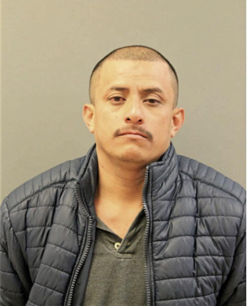 NOE V CESAREO, Cook County, Illinois