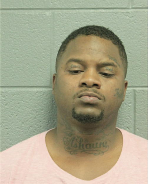 LASHAWN L FERGUSON, Cook County, Illinois