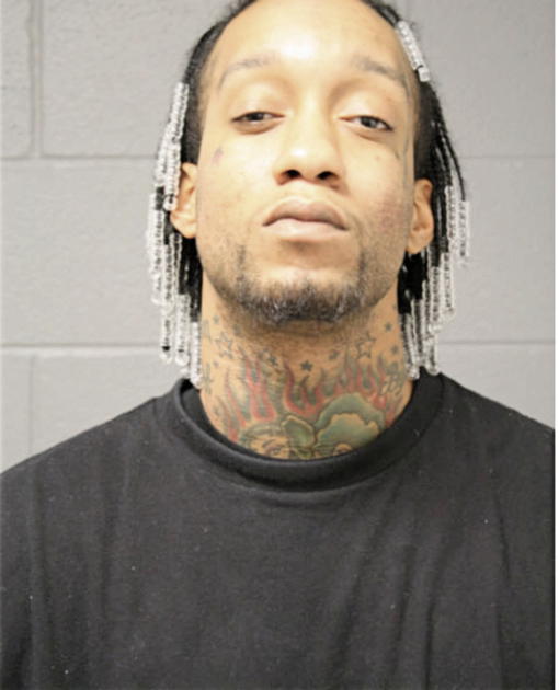 ANDREW L GAINES, Cook County, Illinois