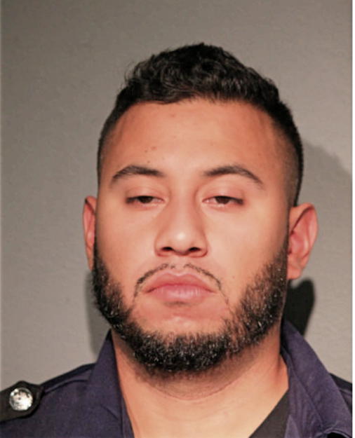 ERIK NELSON GOMEZ, Cook County, Illinois