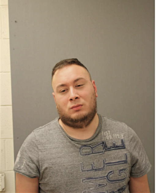LUIS M GOMEZ, Cook County, Illinois