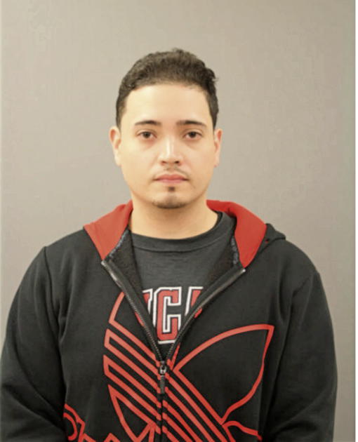 VICTOR GONZALEZ, Cook County, Illinois