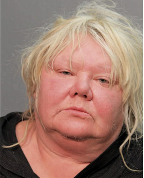 IRINA I EPSHTEIN, Cook County, Illinois