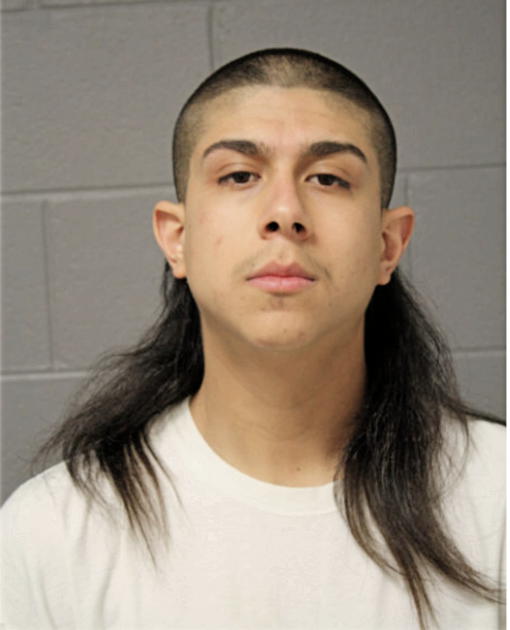 LUIS A JIMENEZ, Cook County, Illinois