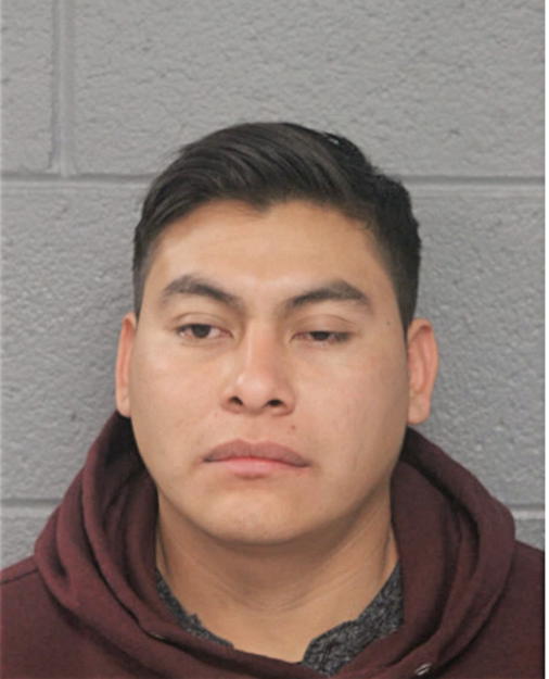 LOPEZ VARGAS LEVY ALBERTO, Cook County, Illinois