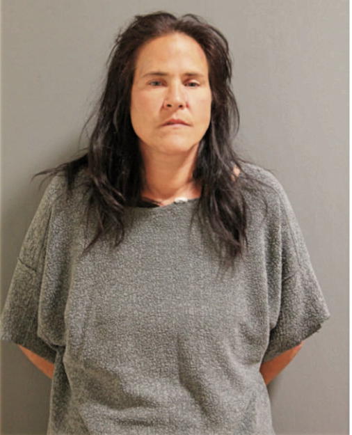 NICOLE K MATKOVICH, Cook County, Illinois