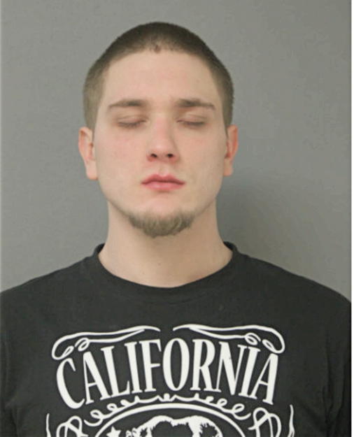 JOHN A MCKENZIE, Cook County, Illinois