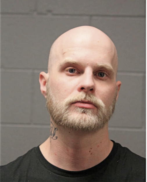 STEVEN L MEADOWS, Cook County, Illinois