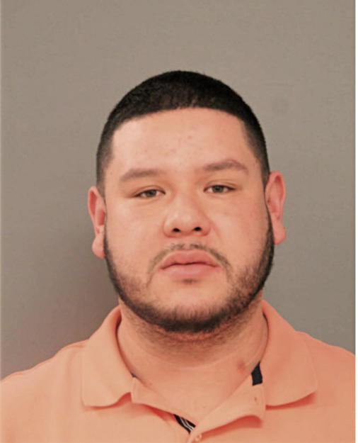 DIEGO A OCHOA, Cook County, Illinois