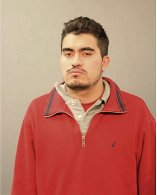 ERNESTO PENA, Cook County, Illinois
