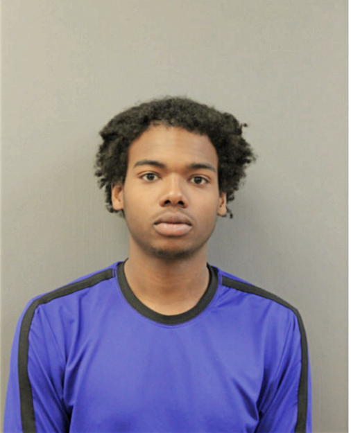 EDGAR J POWELL-HOMAN, Cook County, Illinois