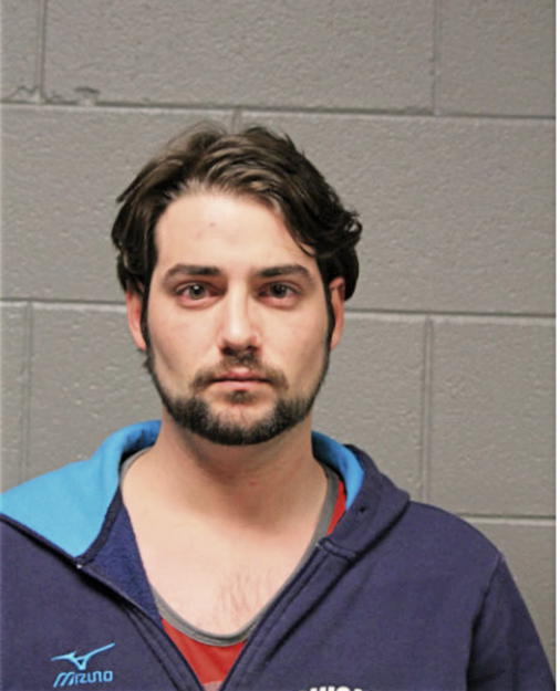 JAMES A SCARPELLI, Cook County, Illinois