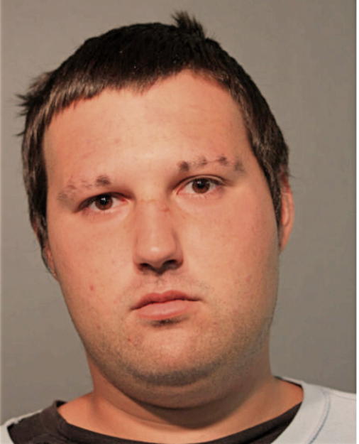 ANTHONY VERTHEIN, Cook County, Illinois