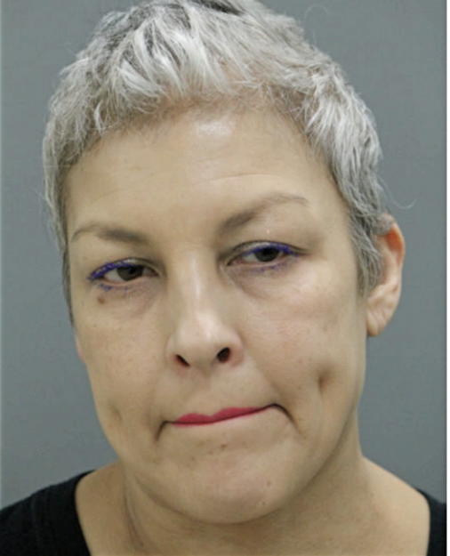 ALICE VESQUEZ-MOTA, Cook County, Illinois