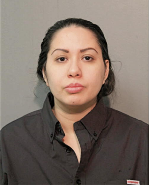 ERIKA VILLALON, Cook County, Illinois