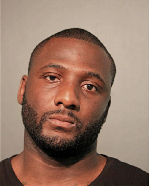 MICHAEL L WILLIAMS, Cook County, Illinois