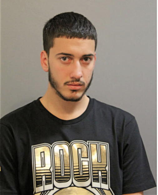 NICHOLAS A FRANC, Cook County, Illinois