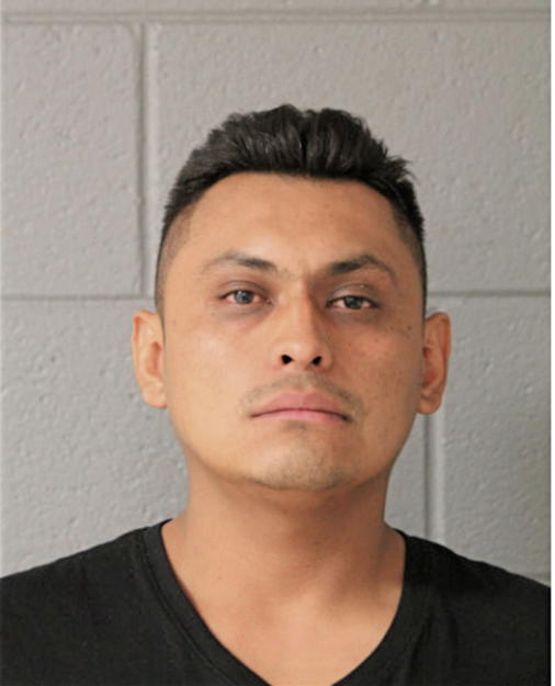FERNANDO ALVAREZ, Cook County, Illinois