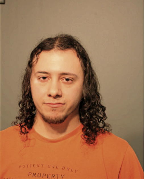 JOHN J BRAVO, Cook County, Illinois