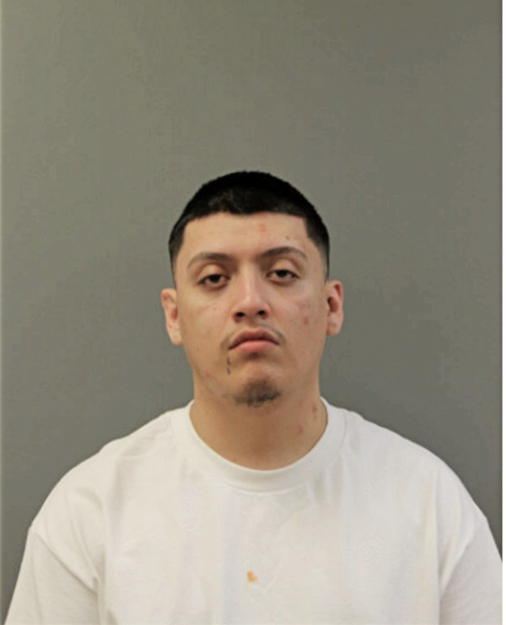 FERNANDO BRITO, Cook County, Illinois