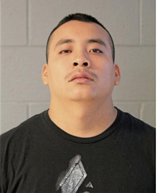 GUSTAVO CAMPOS CATEMAXCA, Cook County, Illinois
