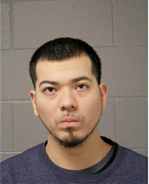 ANGEL DELGADO, Cook County, Illinois