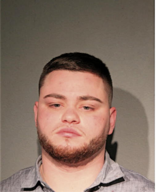MICHAEL J DORMAN, Cook County, Illinois