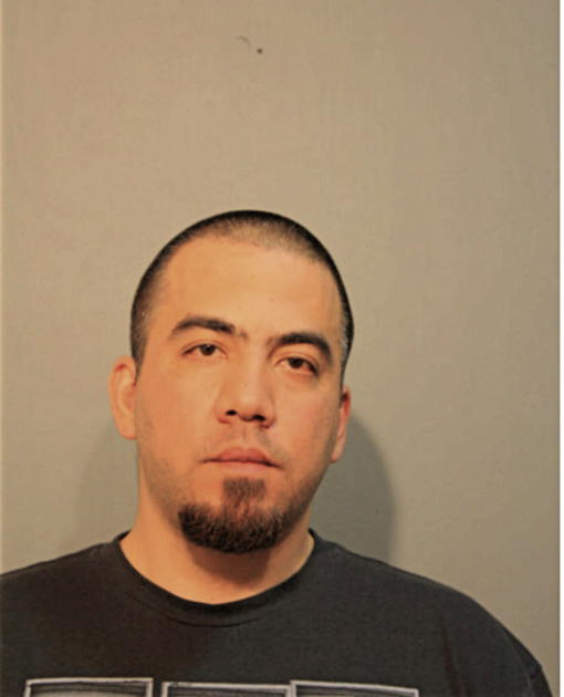 DANIEL GUZMAN, Cook County, Illinois