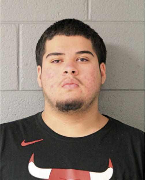 MARK GUZMAN, Cook County, Illinois