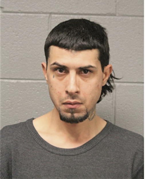 NOEL HERNANDEZ, Cook County, Illinois